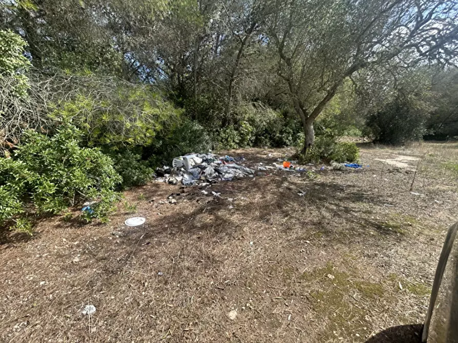 Immagine 10 di Terreno in vendita  in Strada Provinciale Lecce - Aeroporto Turistico - Litoranea a Lecce