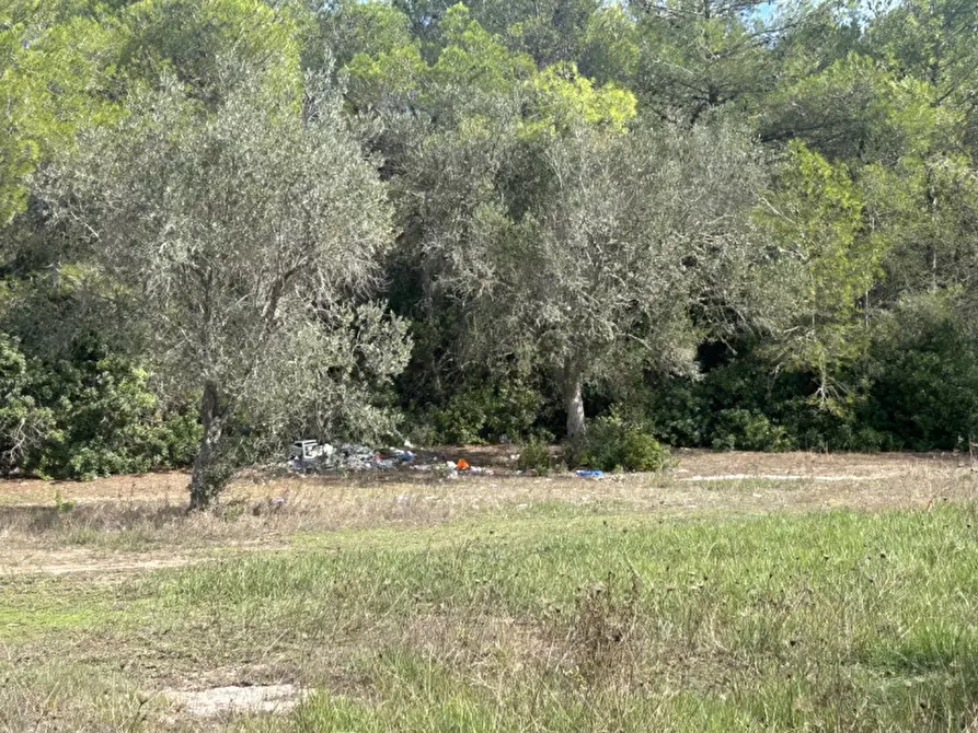 Immagine 11 di Terreno in vendita  in Strada Provinciale Lecce - Aeroporto Turistico - Litoranea a Lecce