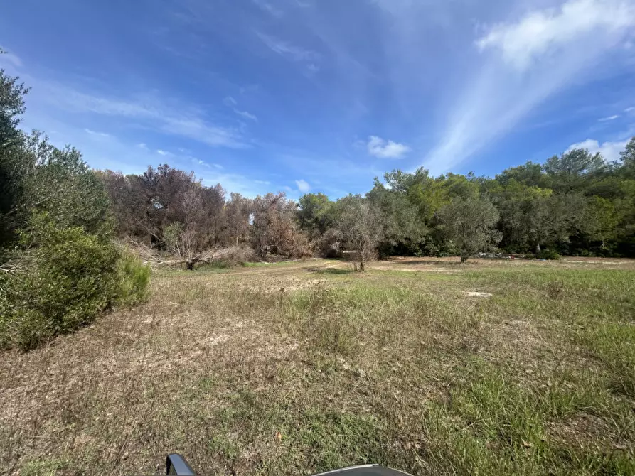 Immagine 12 di Terreno in vendita  in Strada Provinciale Lecce - Aeroporto Turistico - Litoranea a Lecce