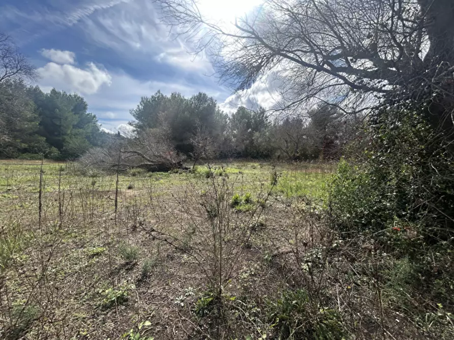 Immagine 13 di Terreno in vendita  in Strada Provinciale Lecce - Aeroporto Turistico - Litoranea a Lecce