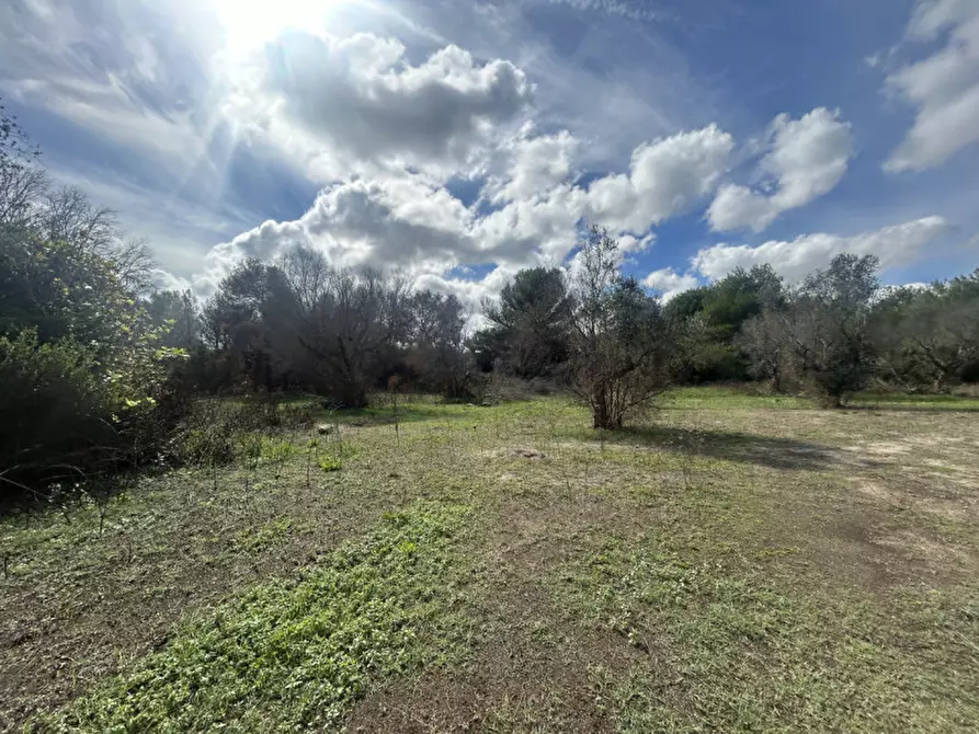 Immagine 14 di Terreno in vendita  in Strada Provinciale Lecce - Aeroporto Turistico - Litoranea a Lecce