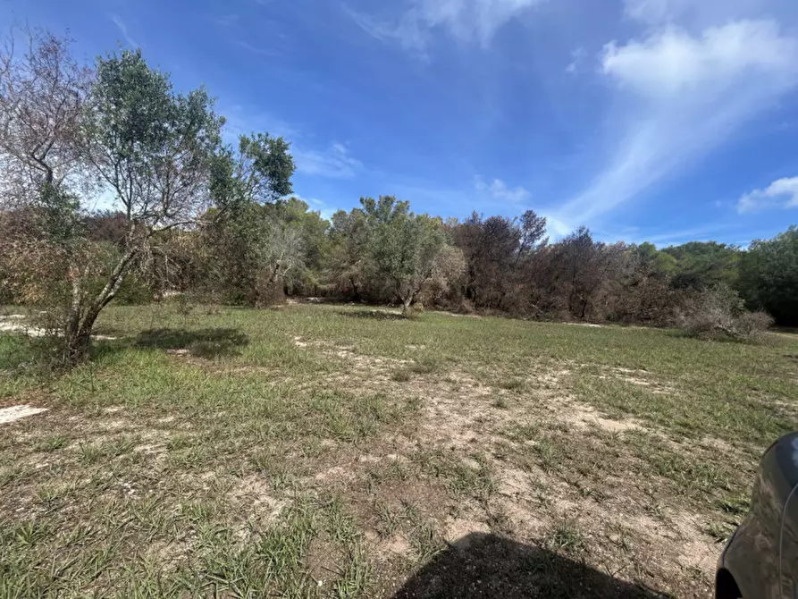 Immagine 15 di Terreno in vendita  in Strada Provinciale Lecce - Aeroporto Turistico - Litoranea a Lecce