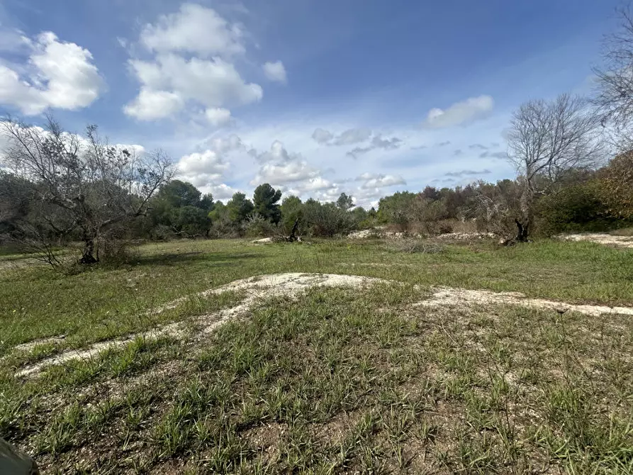Immagine 16 di Terreno in vendita  in Strada Provinciale Lecce - Aeroporto Turistico - Litoranea a Lecce