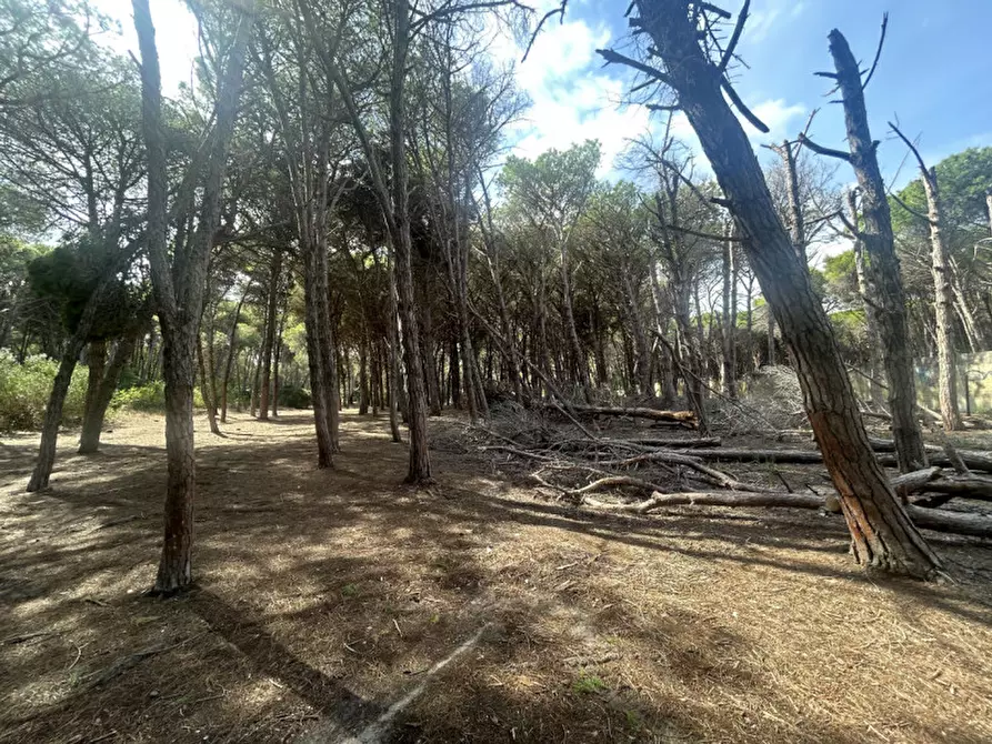 Immagine 17 di Terreno in vendita  in Strada Provinciale Lecce - Aeroporto Turistico - Litoranea a Lecce