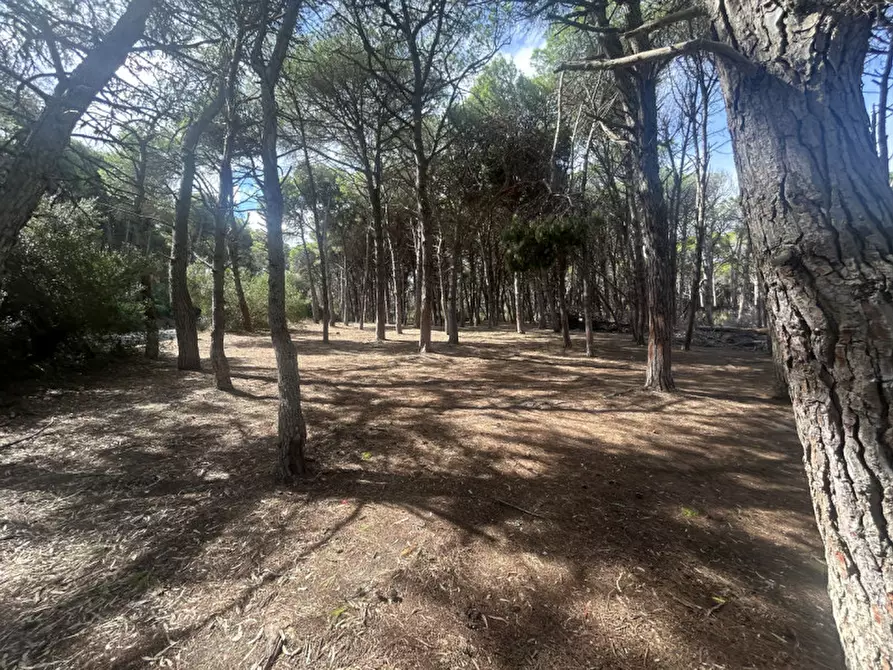 Immagine 18 di Terreno in vendita  in Strada Provinciale Lecce - Aeroporto Turistico - Litoranea a Lecce