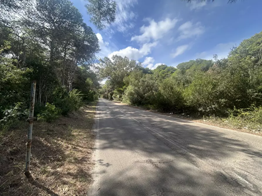 Immagine 19 di Terreno in vendita  in Strada Provinciale Lecce - Aeroporto Turistico - Litoranea a Lecce
