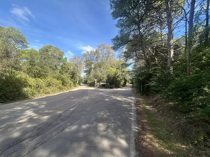 Immagine 20 di Terreno in vendita  in Strada Provinciale Lecce - Aeroporto Turistico - Litoranea a Lecce