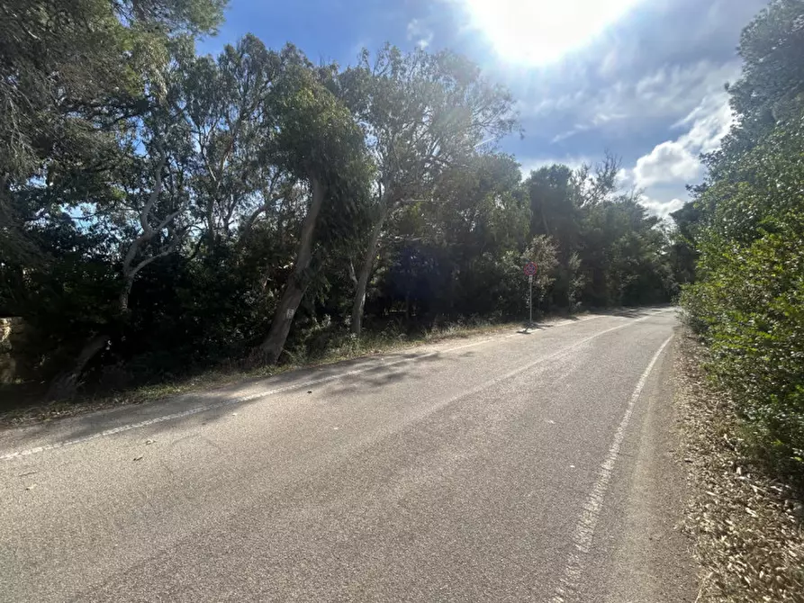 Immagine 21 di Terreno in vendita  in Strada Provinciale Lecce - Aeroporto Turistico - Litoranea a Lecce