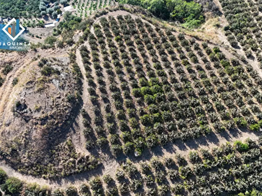 mansarda in vendita a Palagonia