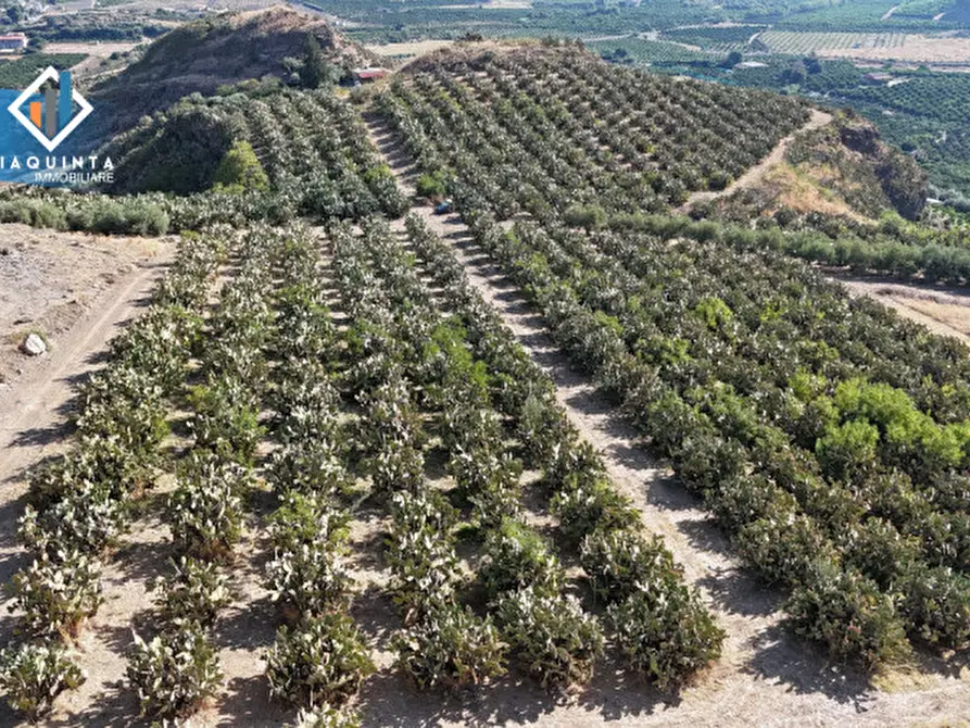 Immagine 2 di Terreno in vendita  in Ex trazzera Grotte-Croce-Tre Fontane a Palagonia