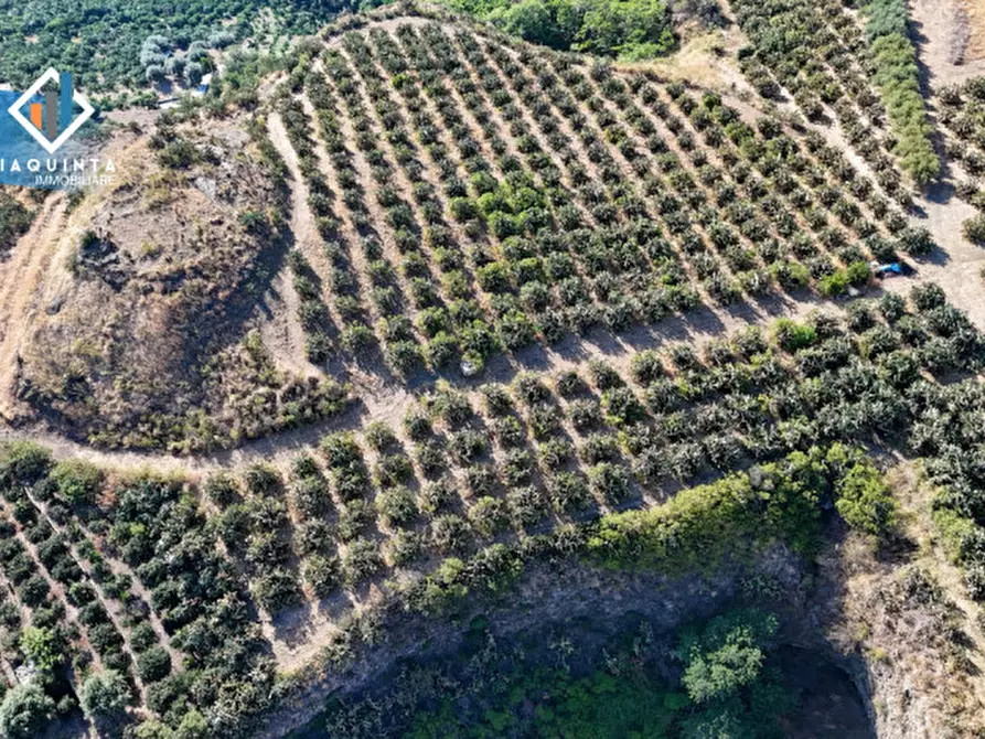 Immagine 3 di Terreno in vendita  in Ex trazzera Grotte-Croce-Tre Fontane a Palagonia