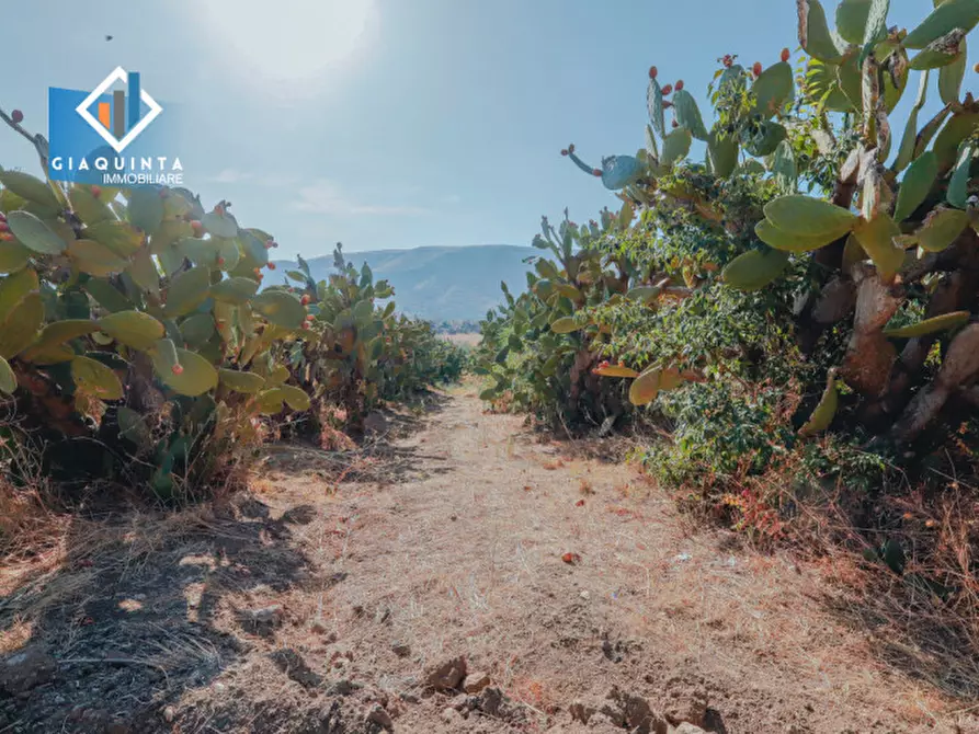 Immagine 4 di Terreno in vendita  in Ex trazzera Grotte-Croce-Tre Fontane a Palagonia