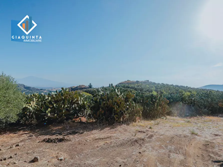 Immagine 5 di Terreno in vendita  in Ex trazzera Grotte-Croce-Tre Fontane a Palagonia