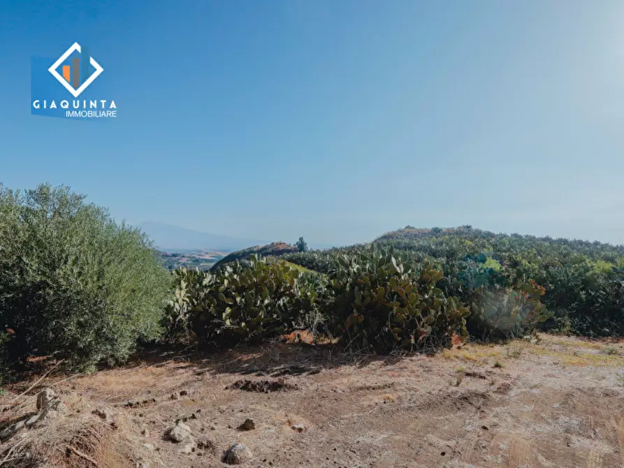 Immagine 7 di Terreno in vendita  in Ex trazzera Grotte-Croce-Tre Fontane a Palagonia