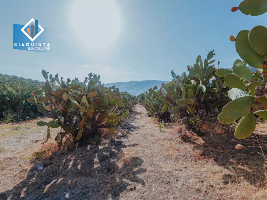 Immagine 8 di Terreno in vendita  in Ex trazzera Grotte-Croce-Tre Fontane a Palagonia