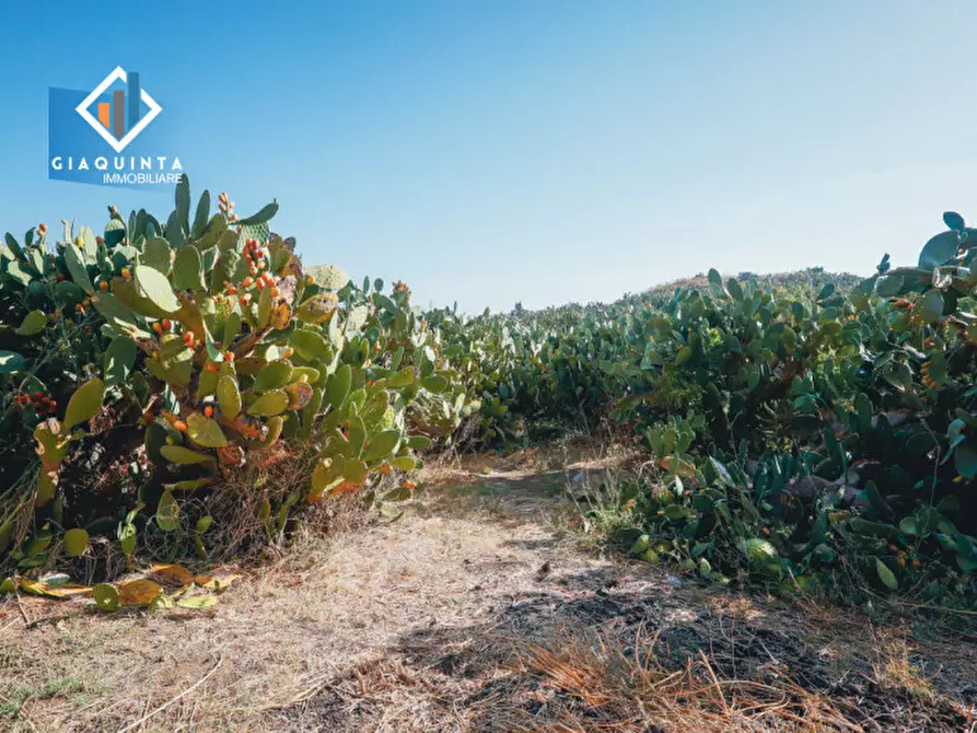 Immagine 9 di Terreno in vendita  in Ex trazzera Grotte-Croce-Tre Fontane a Palagonia