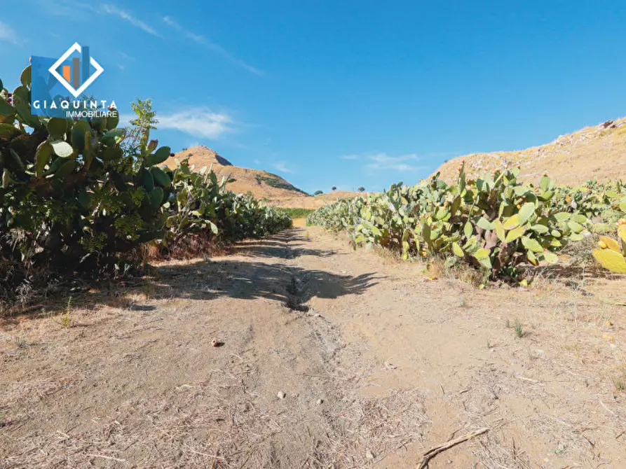 Immagine 10 di Terreno in vendita  in Ex trazzera Grotte-Croce-Tre Fontane a Palagonia