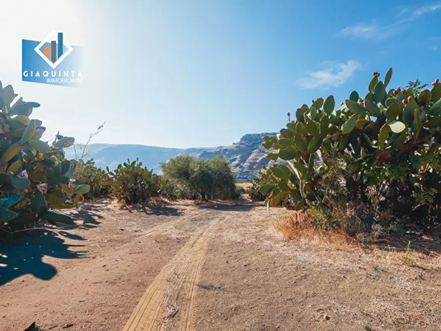 Immagine 11 di Terreno in vendita  in Ex trazzera Grotte-Croce-Tre Fontane a Palagonia