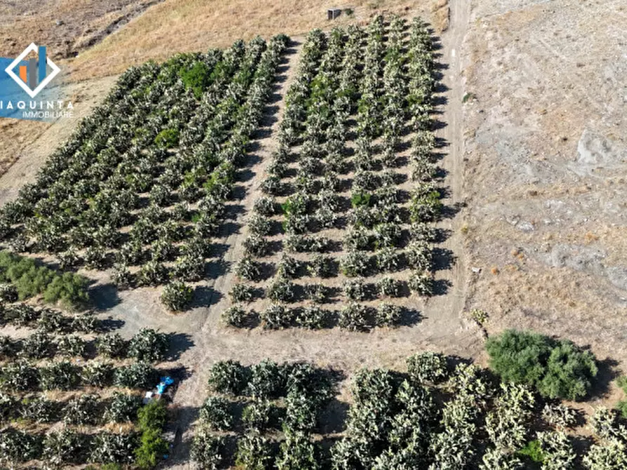 Immagine 12 di Terreno in vendita  in Ex trazzera Grotte-Croce-Tre Fontane a Palagonia