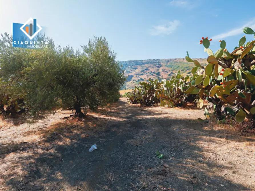 Immagine 13 di Terreno in vendita  in Ex trazzera Grotte-Croce-Tre Fontane a Palagonia