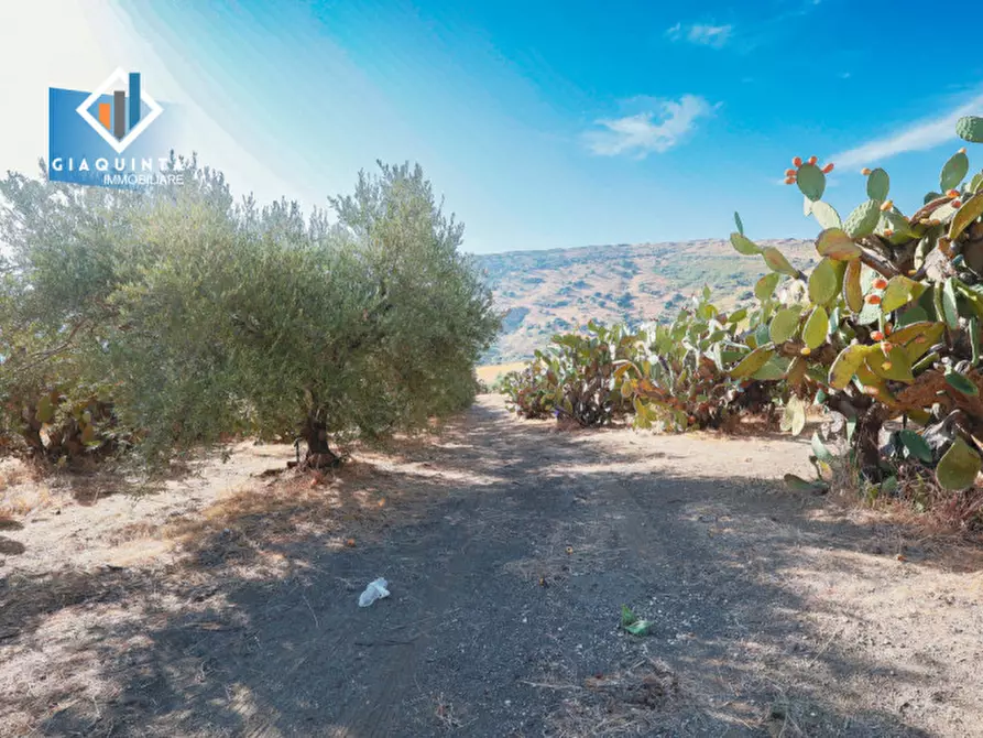 Immagine 14 di Terreno in vendita  in Ex trazzera Grotte-Croce-Tre Fontane a Palagonia