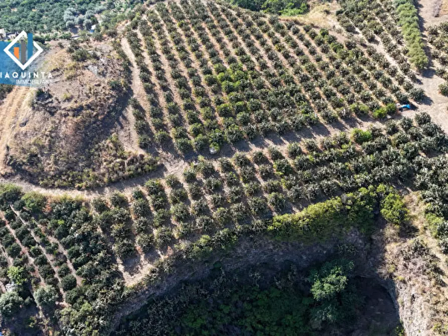 Immagine 15 di Terreno in vendita  in Ex trazzera Grotte-Croce-Tre Fontane a Palagonia