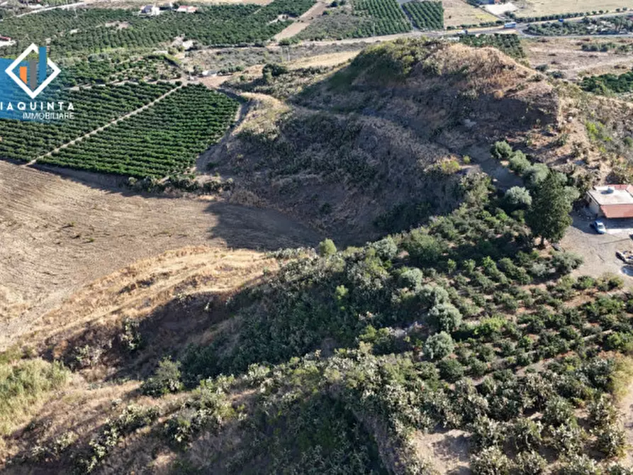 Immagine 16 di Terreno in vendita  in Ex trazzera Grotte-Croce-Tre Fontane a Palagonia