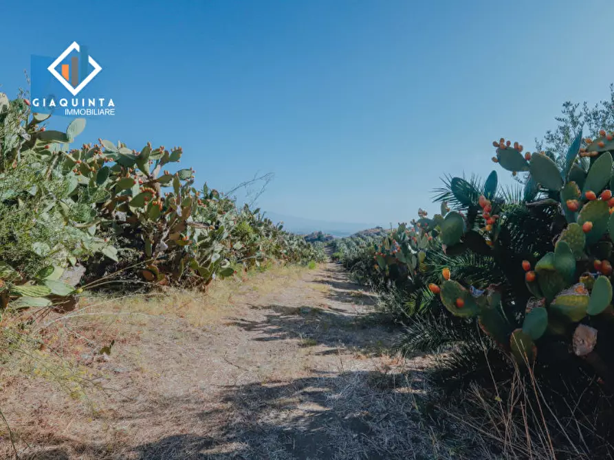 Immagine 17 di Terreno in vendita  in Ex trazzera Grotte-Croce-Tre Fontane a Palagonia