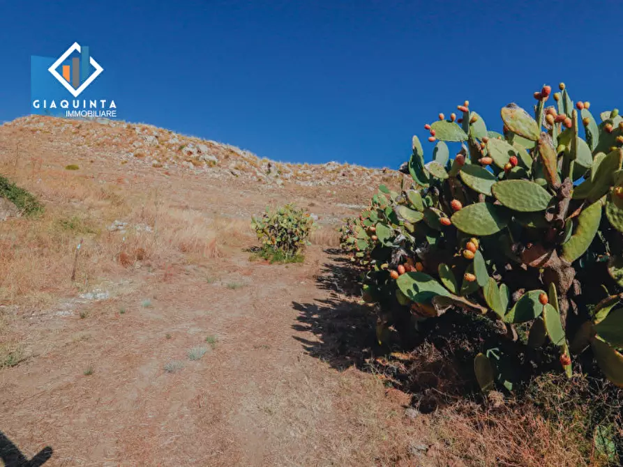 Immagine 18 di Terreno in vendita  in Ex trazzera Grotte-Croce-Tre Fontane a Palagonia