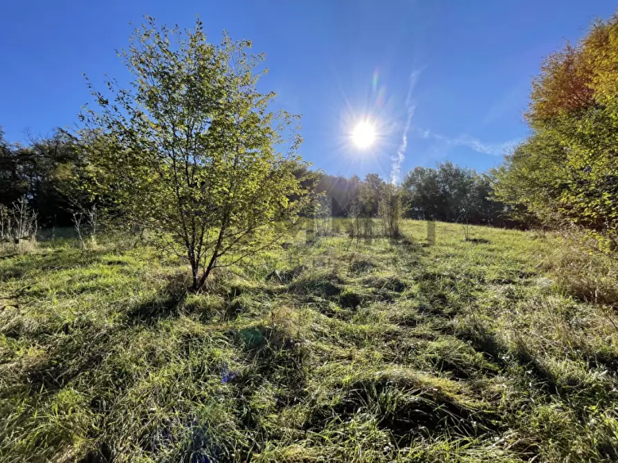 casa indipendente in vendita a Schio in zona Piane