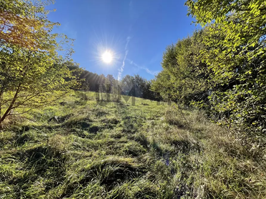Immagine 3 di Terreno in vendita  in Località Costalta a Schio