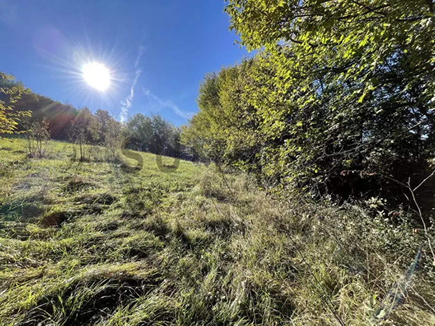Immagine 4 di Terreno in vendita  in Località Costalta a Schio