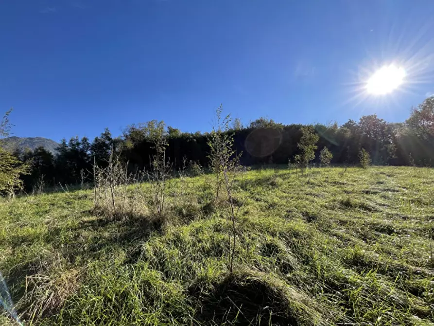 Immagine 5 di Terreno in vendita  in Località Costalta a Schio