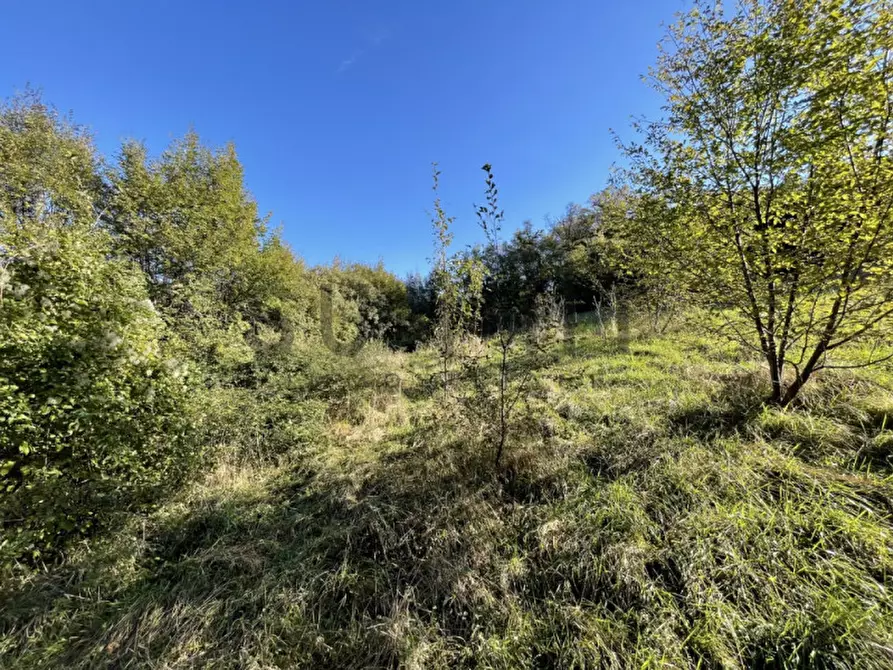 Immagine 6 di Terreno in vendita  in Località Costalta a Schio