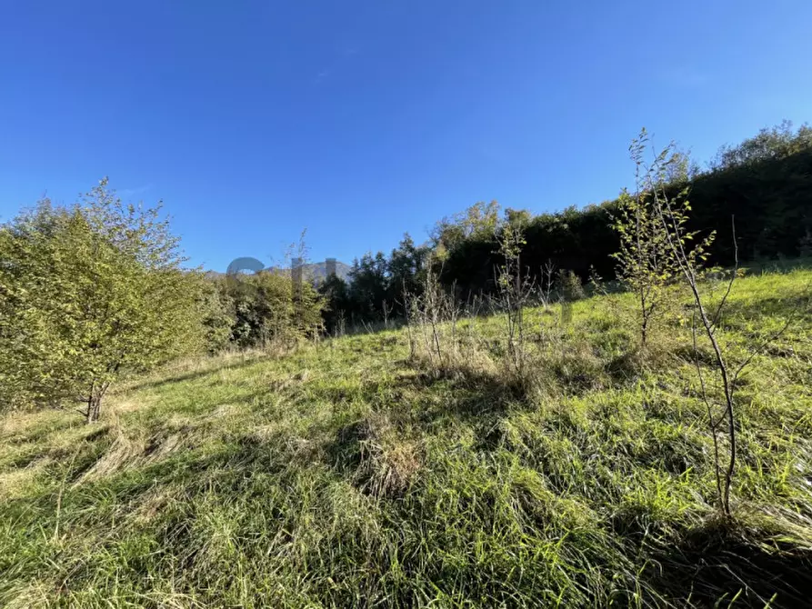 Immagine 7 di Terreno in vendita  in Località Costalta a Schio