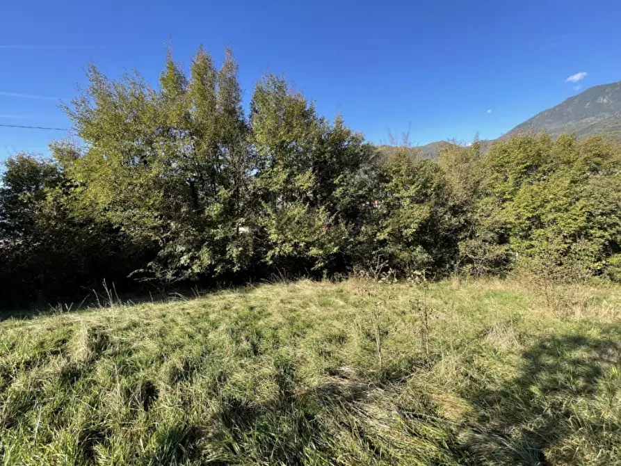 Immagine 8 di Terreno in vendita  in Località Costalta a Schio