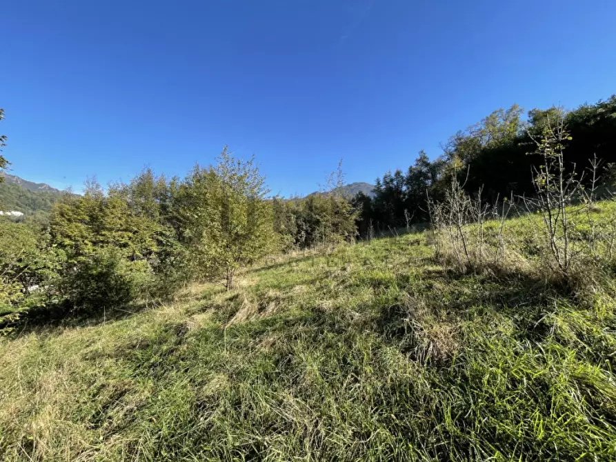 Immagine 10 di Terreno in vendita  in Località Costalta a Schio