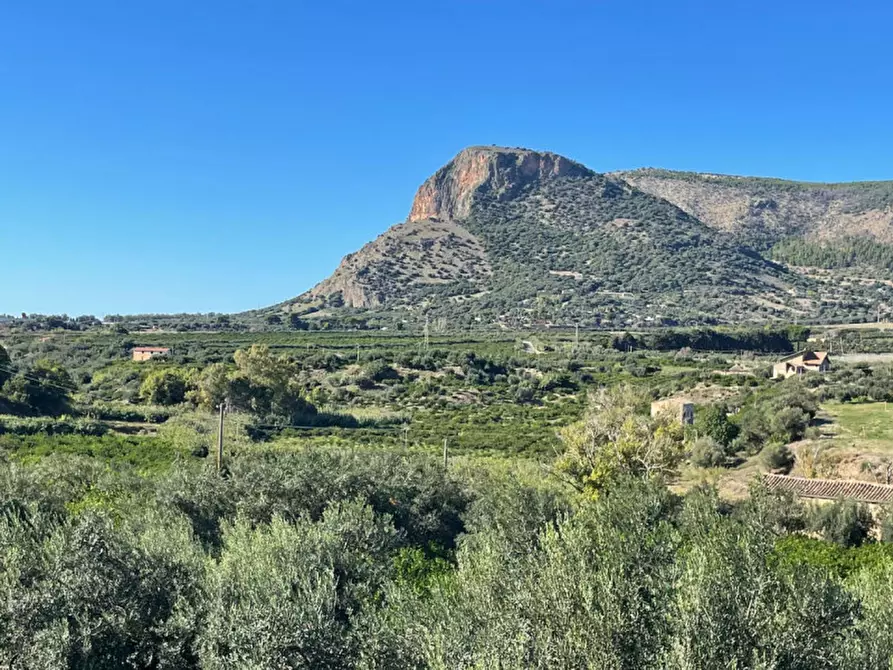 Immagine 7 di Villa in vendita  in contrada parrinelli a Partinico