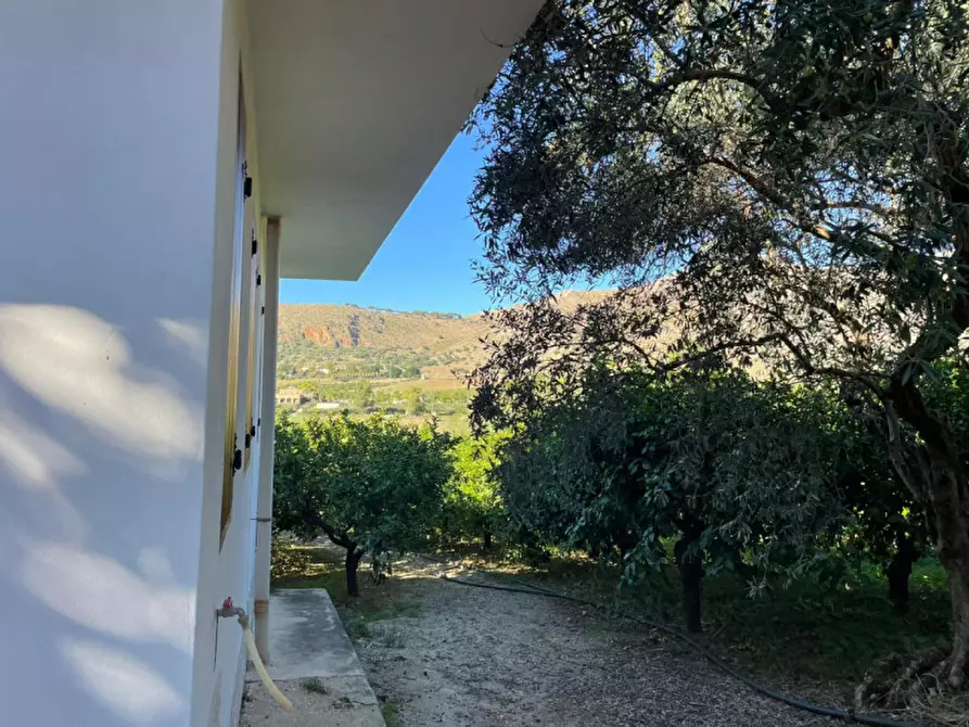 Immagine 10 di Villa in vendita  in contrada parrinelli a Partinico