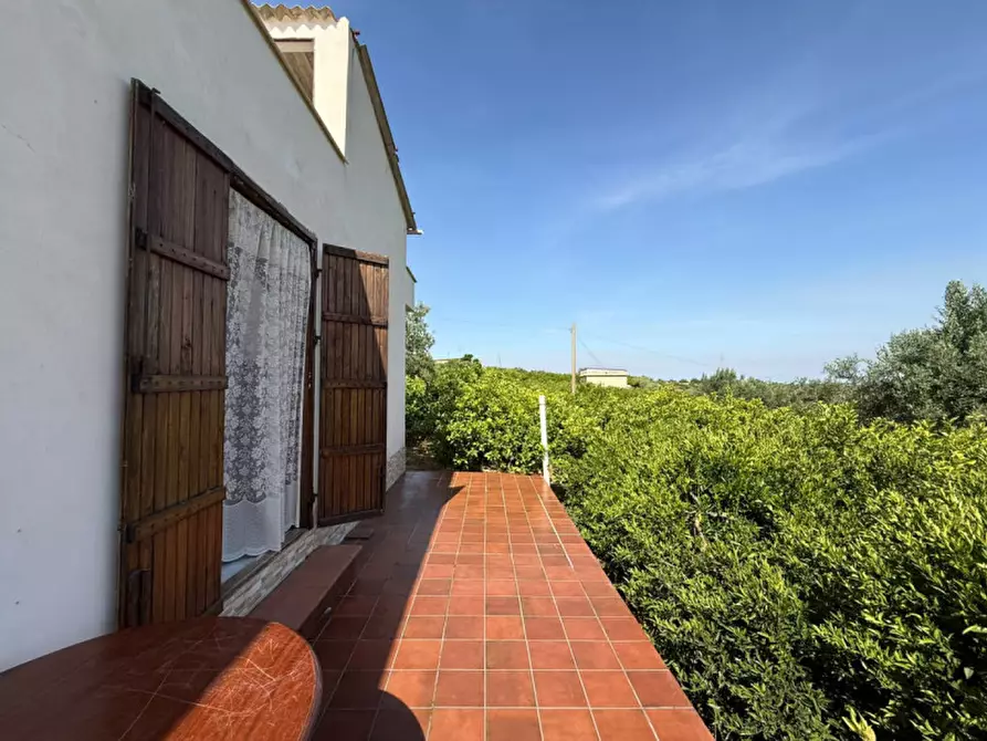 Immagine 13 di Villa in vendita  in contrada parrinelli a Partinico
