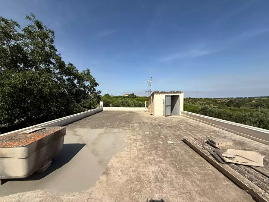 Immagine 17 di Villa in vendita  in contrada parrinelli a Partinico