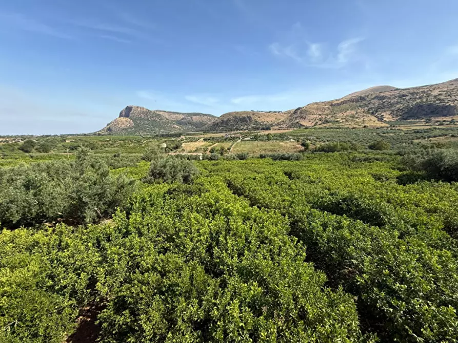 Immagine 21 di Villa in vendita  in contrada parrinelli a Partinico