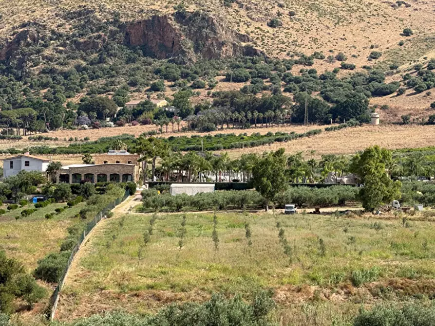 Immagine 26 di Villa in vendita  in contrada parrinelli a Partinico