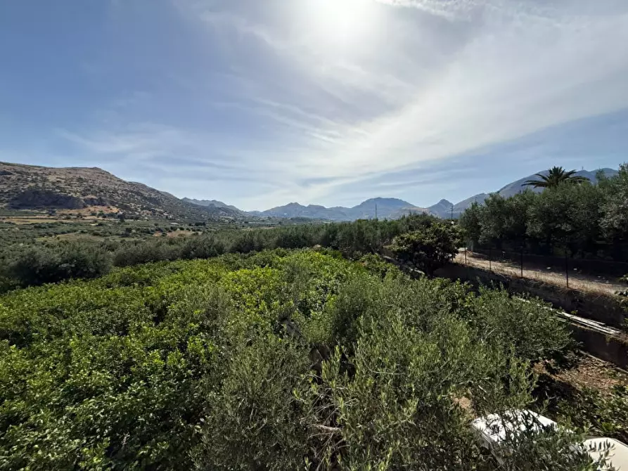 Immagine 27 di Villa in vendita  in contrada parrinelli a Partinico