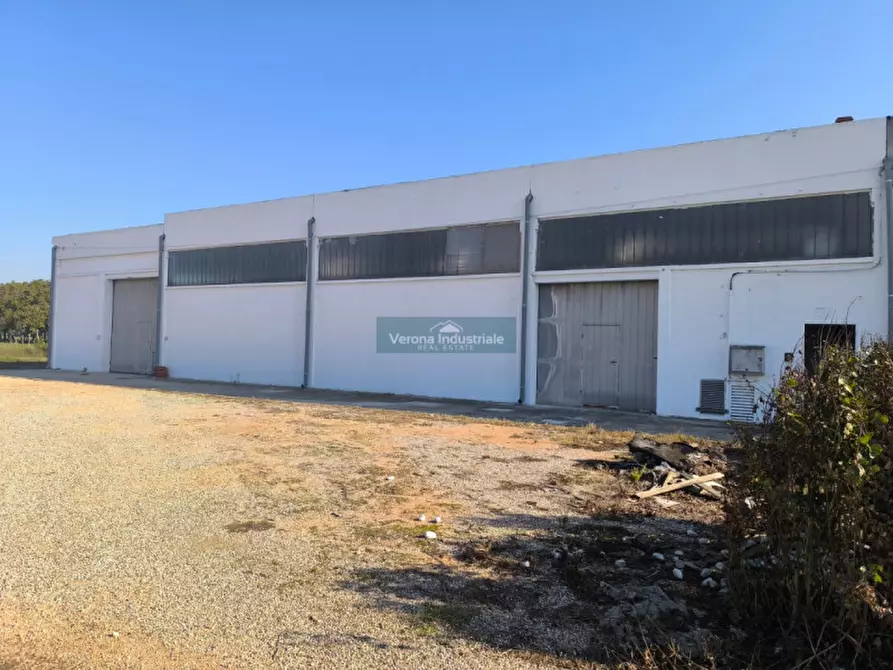 Immagine 1 di Capannone industriale in affitto  in Isola Rizza Via Merle a Isola Rizza