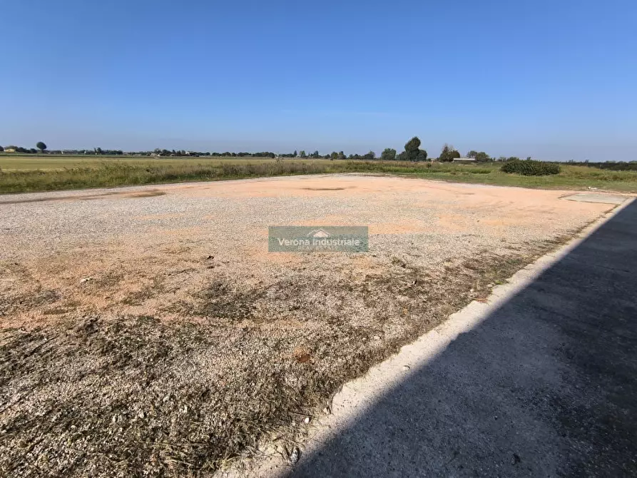 Immagine 4 di Capannone industriale in affitto  in Isola Rizza Via Merle a Isola Rizza