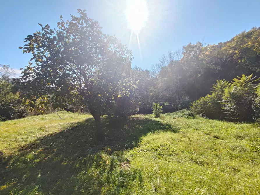 Immagine 2 di Casa bifamiliare in vendita  in Strada di Mazzelvetta a Terni