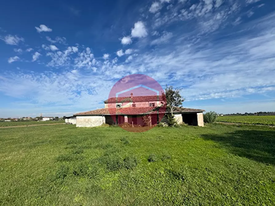 Immagine 3 di Terreno in vendita  a Gatteo