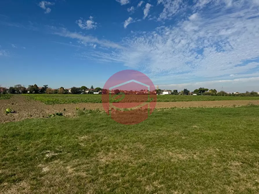 Immagine 4 di Terreno in vendita  a Gatteo