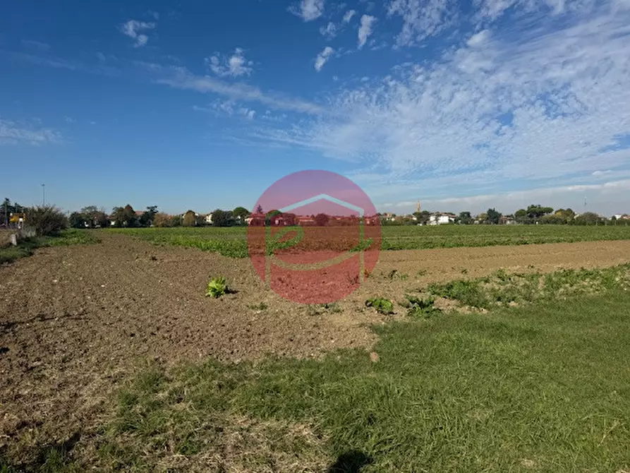 Immagine 5 di Terreno in vendita  a Gatteo